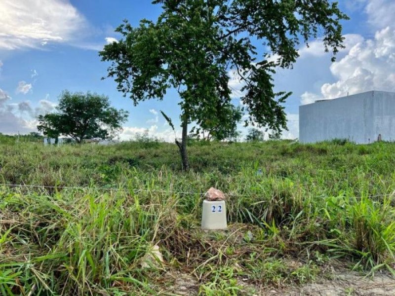 Ventas de Solares en Verón Punta Cana, RD